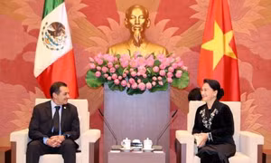 Chủ tịch Quốc hội Nguyễn Thị Kim Ngân tiếp Chủ tịch Thượng viện Mexico