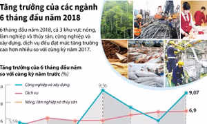 Tăng trưởng của các ngành 6 tháng đầu năm 2018
