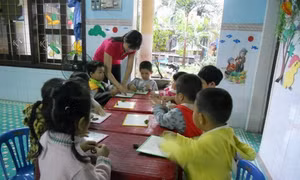 UBND tỉnh Bình Định chỉ đạo kiểm điểm, xử lý vụ 11 cô giáo bị 'treo' biên chế 