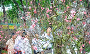 TP Hồ Chí Minh