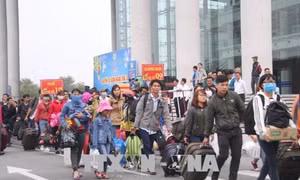 Tết Âm lịch 2019 được nghỉ 9 ngày