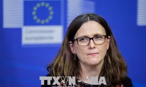 EU để ngỏ một thỏa thuận thương mại 'hạn chế' với Mỹ