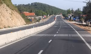 Chỉ đạo của Thủ tướng Chính phủ 