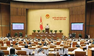 Thông cáo số 20, Kỳ họp thứ 5, Quốc hội Khóa XIV