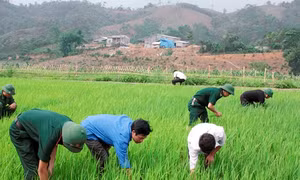 Nhân lên những hạt giống mùa Xuân