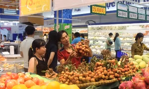 TP Hồ Chí Minh