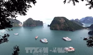 Kiểm tra thông tin du khách Australia bị lừa khi đi tour tham quan vịnh Hạ Long
