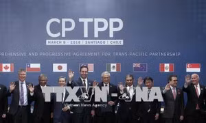 CPTPP sẽ là cú hích về hợp tác kinh tế, thương mại và đầu tư Việt Nam - Chile