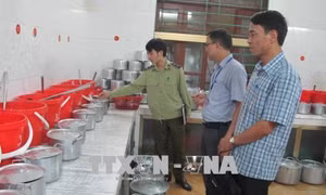 Tăng cường kiểm tra an toàn thực phẩm tại các bếp ăn trường học 