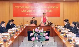 Chủ tịch Quốc hội: Ngành Tài chính cần bắt tay triển khai các nhiệm vụ ngay từ đầu năm 
