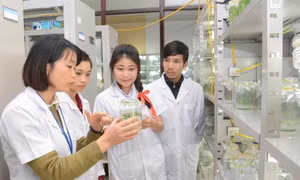 Các điều kiện xét thăng hạng giảng viên chính, giảng viên cao cấp