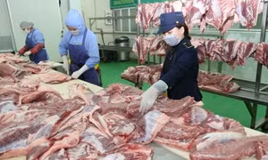 Tăng cường trách nhiệm của người sản xuất, kinh doanh thực phẩm 