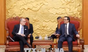 Trưởng Ban Đối ngoại Trung ương tiếp Bộ trưởng Ngoại giao và Tôn giáo Cộng hòa Argentina 