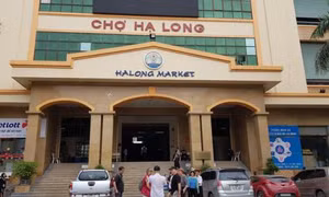 Quảng Ninh sẽ thu hồi điểm kinh doanh vi phạm hợp đồng tại chợ Hạ Long 1