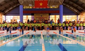 TP Hồ Chí Minh dẫn đầu toàn đoàn Giải bơi - lặn vô địch quốc gia bể 25m