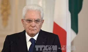 45 năm quan hệ ngoại giao Việt Nam – Italy: Tổng thống Italy gửi điện mừng đến Chủ tịch nước Trần Đại Quang 