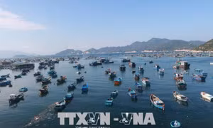 Chuẩn bị tốt cho phiên họp về thực hiện Chiến lược phát triển bền vững kinh tế biển
