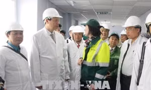 Tuyên Quang, Quảng Ninh tăng cường hợp tác với Nga