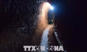 Táo tợn đào 'địa đạo' trong nhà để khai thác vàng lậu 