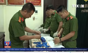 Triệt phá đường dây buôn bán ma túy từ Lào về Việt Nam