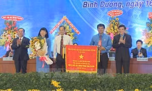 Bà Trương Thị Bích Hạnh tái đắc cử Chủ tịch Liên đoàn lao động Bình Dương 