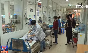 Gia tăng bệnh nhân nhiễm liên cầu khuẩn lợn