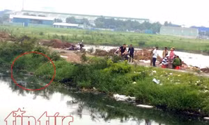 TP Hồ Chí Minh