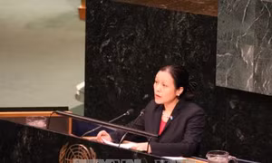 Việt Nam kêu gọi HĐBA LHQ tham gia giải quyết cuộc xung đột Israel-Palestine
