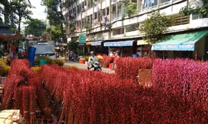 TP Hồ Chí Minh