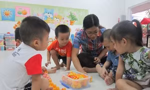 TP Hồ Chí Minh 