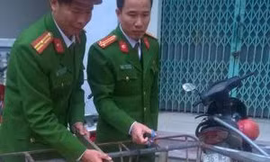 Bắt giữ xe khách vận chuyển trên 500 kg nội tạng động vật bốc mùi hôi thối