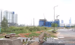 Quản lý đất công tại TP Hồ Chí Minh - Bài 1: Các thương vụ 'tai tiếng' 