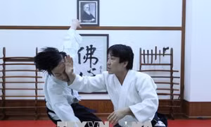 200 võ sư, huấn luyện viên biểu diễn võ AIKIDO tại Hà Nội