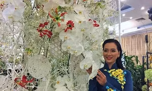 TP Hồ Chí Minh
