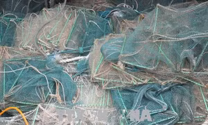  Thu giữ, tiêu huỷ 300 bộ lồng bát quái khai thác thủy sản trái phép 