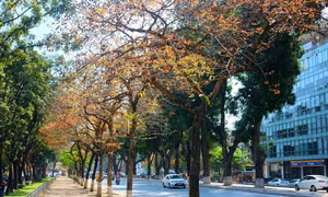 Tháng tư ở lại