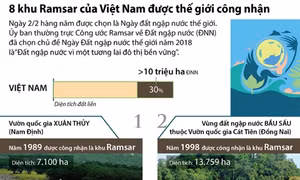 8 khu Ramsar của Việt Nam được thế giới công nhận