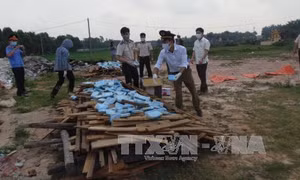 Tiêu hủy 265 bánh ma túy là tang vật vụ án Tráng A Tàng và đồng bọn