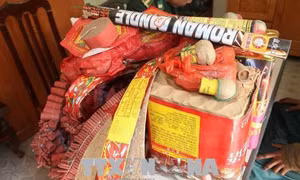 Dùng hoa quả 'nghi binh' để vận chuyển trái phép 630 kg pháo