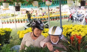 Thời tiết dịp Tết Nguyên Đán Mậu Tuất thuận lợi cho việc du Xuân