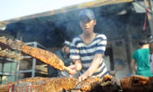 TP Hồ Chí Minh