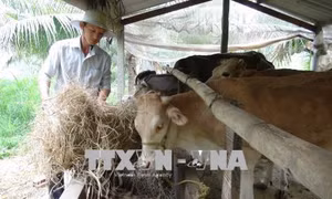  Lan tỏa tinh thần năng động, sáng tạo trong thanh niên nông thôn