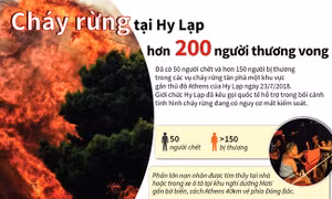 Cháy rừng tại Hy Lạp, trên 200 người thương vong
