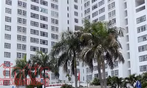 TP Hồ Chí Minh
