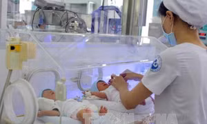 Trên 19.000 trẻ chào đời trong dịp Tết nguyên đán Mậu Tuất 2018