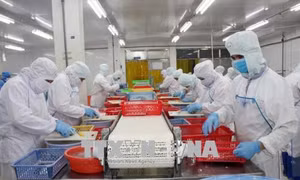 Niềm tin của doanh nghiệp vào môi trường kinh doanh tiếp tục tăng lên