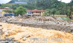 Tiếp tục chủ động triển khai các biện pháp ứng phó với vùng áp thấp