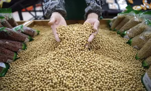 Những quốc gia 'chịu thiệt' khi Trung Quốc và Mỹ ngưng chiến tranh thương mại