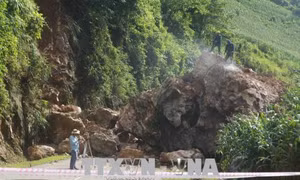 Sơn La: Gần 1.000m3 đất đá sạt lở, Quốc lộ 279D ách tắc nghiêm trọng
