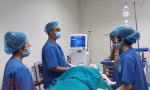 TP Hồ Chí Minh 